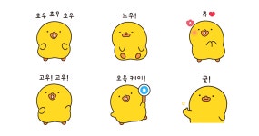 삐약삐약 잉글리쉬