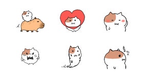 뎅뎅이네덮밥&짜글이 - 서구 화정로85번길 11-1 | 짜글짜글 쫀냐미 3