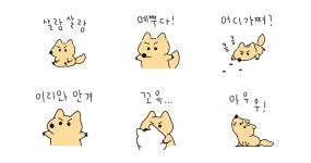 너만바라보는팍스