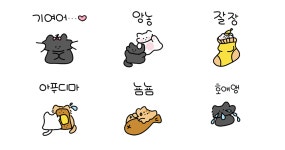 앙눙! 우리눙 오분키튼이야!