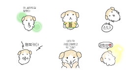 양지바른 강아지