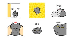 그레이 고양이야 15
