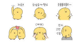 삐약삐약 삐약이