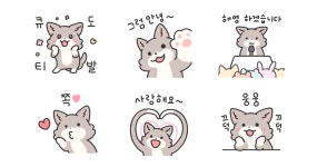 너만의 아이돌, 퐁신퐁신 회색늑대 타로