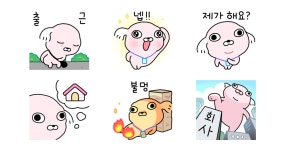 직장개 강사장