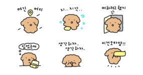 덤벙대는 댕그리의 하루