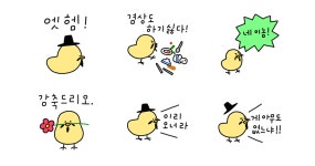 유교삐약이 김선삐