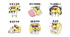 펫비와 타민이는 견강할고양