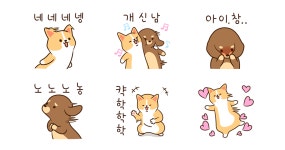 바쁘개찌만 이뿌개 잘 부타개