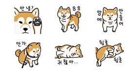 고집불통 시바티콘