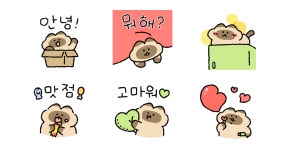 언제나 큐티뽀짝한 샴! 콩이