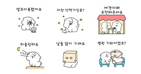 견주 단톡방에서 유용하게 쓰일 톡