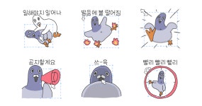 비둘기야 갓생살자 999999999