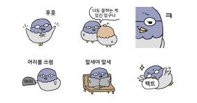 똑둘기(특징:똑똑함)