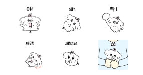 두 얼굴의 말티즈 3