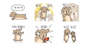 딱스훈트