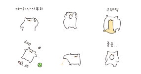 왈왈이는 오늘도 좋아!
