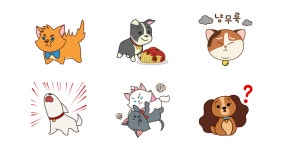 디즈니 캣츠 앤 독스