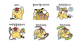 호랭이코치 호코