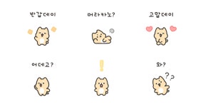 경상도 깔롱쟁이 시바