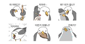넘버원부산갈매기투어 | 부산 갈매기 2