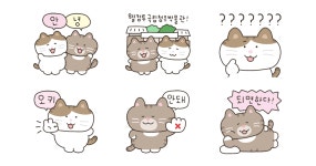 국립청주박물관의 귀염 뽀짝한 하루
