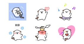 지그시.. 수달이네요