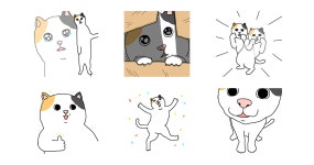 나는 고양이