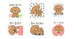 백수의 푸들 라이프