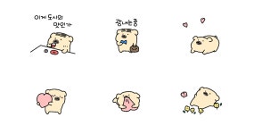 시골에서 온 시골 깡아지