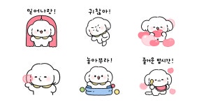 이로케 귀여운 아가 말티쭈 봤냐구!