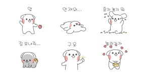 몽실몽실 말티즈 도람이