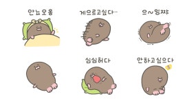 집이 좋아 포들포들 두덩이