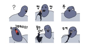 구구구 도시비둘기 도구