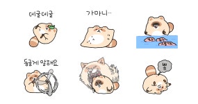 둥그런 너구리 둥구리