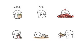 우리집 막내 뽀댕이