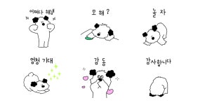 어쩌다 사랑 받는 푸들이얌