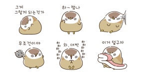 챔지않는 챔챔이
