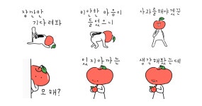 진심어린 사과 세트