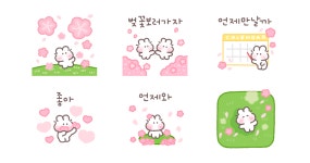 핑크빛 봄날의 따솜바니