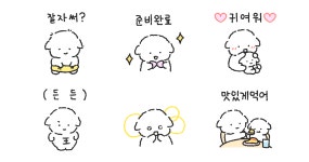 다정다감 양순이