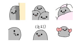 눈치 물개