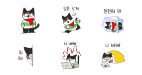 조금 까칠한 삼색냥 깡꼬
