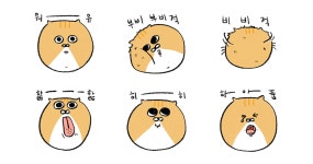 치즈 괭이