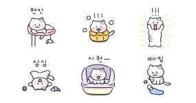 집냥이 용희의 하루