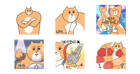 은은하게 돌은 고양이, 은돌이!