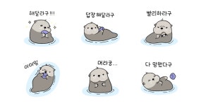 해달라는게 많은 해달 라구