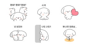 나도나도! 관심이 필요한 쫑쫑이