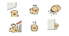 컹 컹! 똥강아지 누릉이