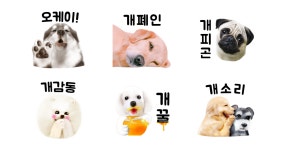 좋아좋아개좋아